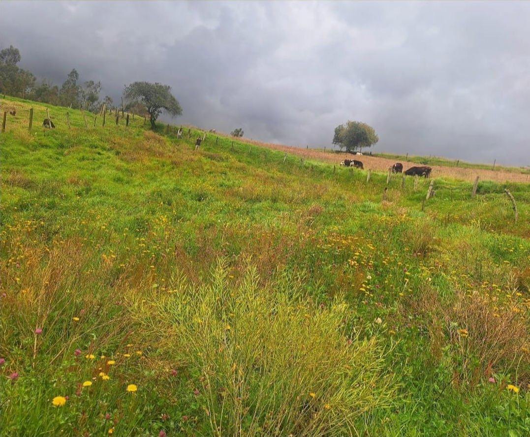 Lote campestre en venta en Ventaquemada, Boyacá