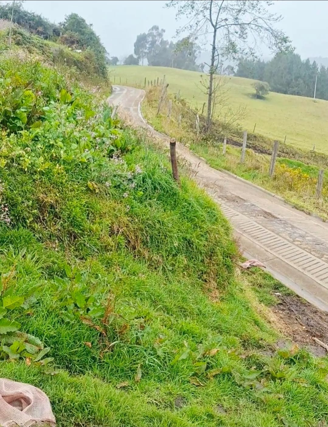 LOTE CAMPESTRE EN VENTA EN VILLAPINZÓN, CUNDINAMARCA