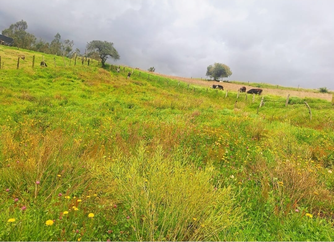 Lote campestre en venta en Ventaquemada, Boyacá