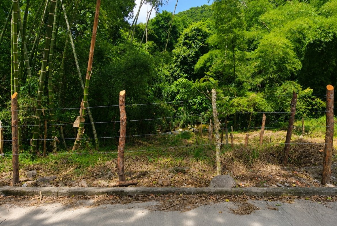 Lotes Urbanos en Venta en Bochalema, Norte de Santander