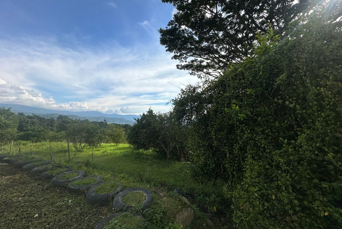 Proyecto Ecoturístico en Venta en Anapoima, Cundinamarca