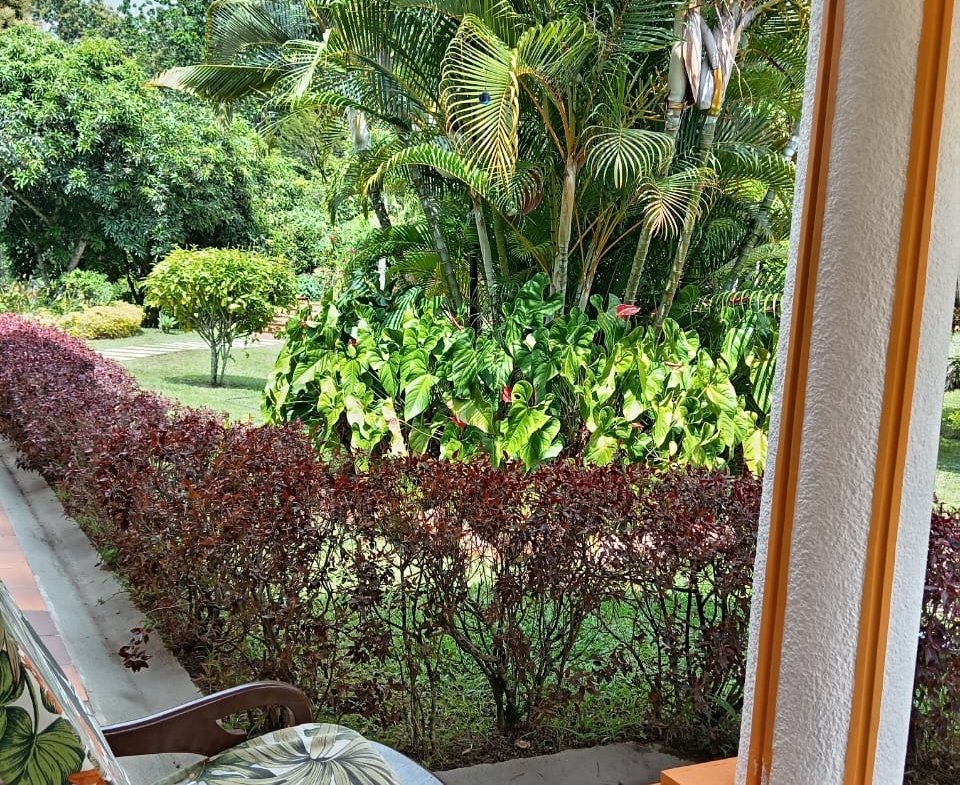 Parcela en Venta entre Floridablanca y Piedecuesta, Santander