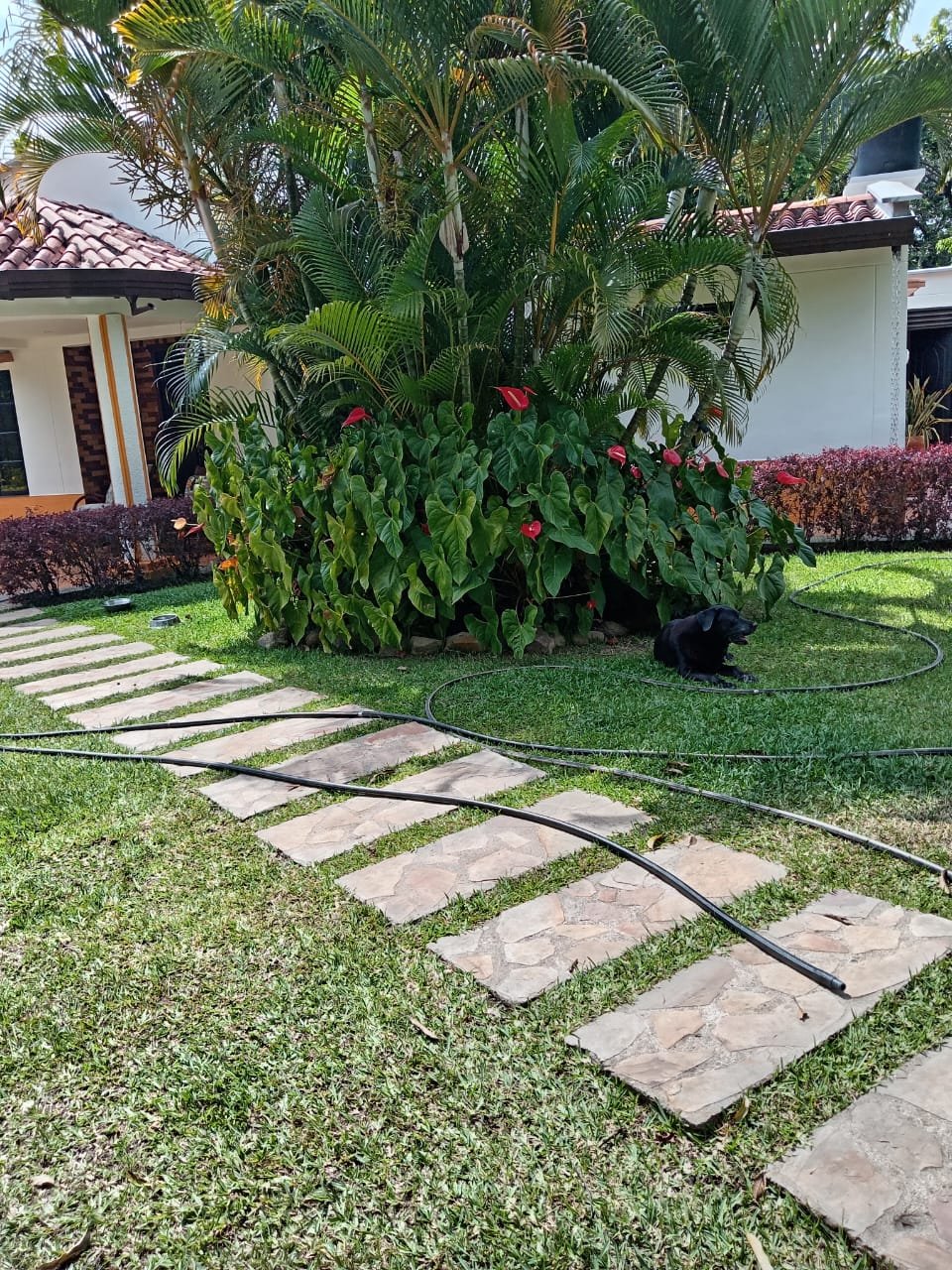 214465-271286-1327939786151558 Parcela en Venta entre Floridablanca y Piedecuesta, Santander