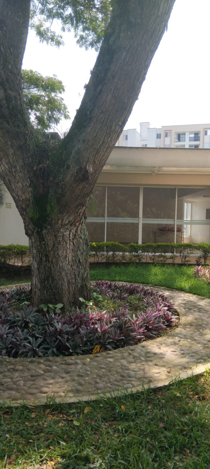 214465-271286-1352946899668184 VENTA APARTAMENTO Edificio Cielos Barrio Ciudad Pacífica Cali