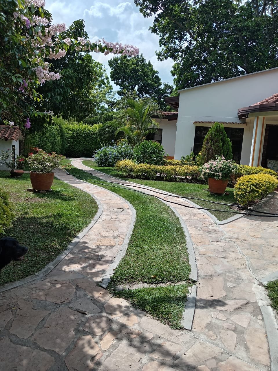 214465-271286-1402100805064606 Parcela en Venta entre Floridablanca y Piedecuesta, Santander