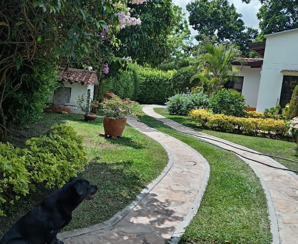 Parcela en Venta entre Floridablanca y Piedecuesta, Santander