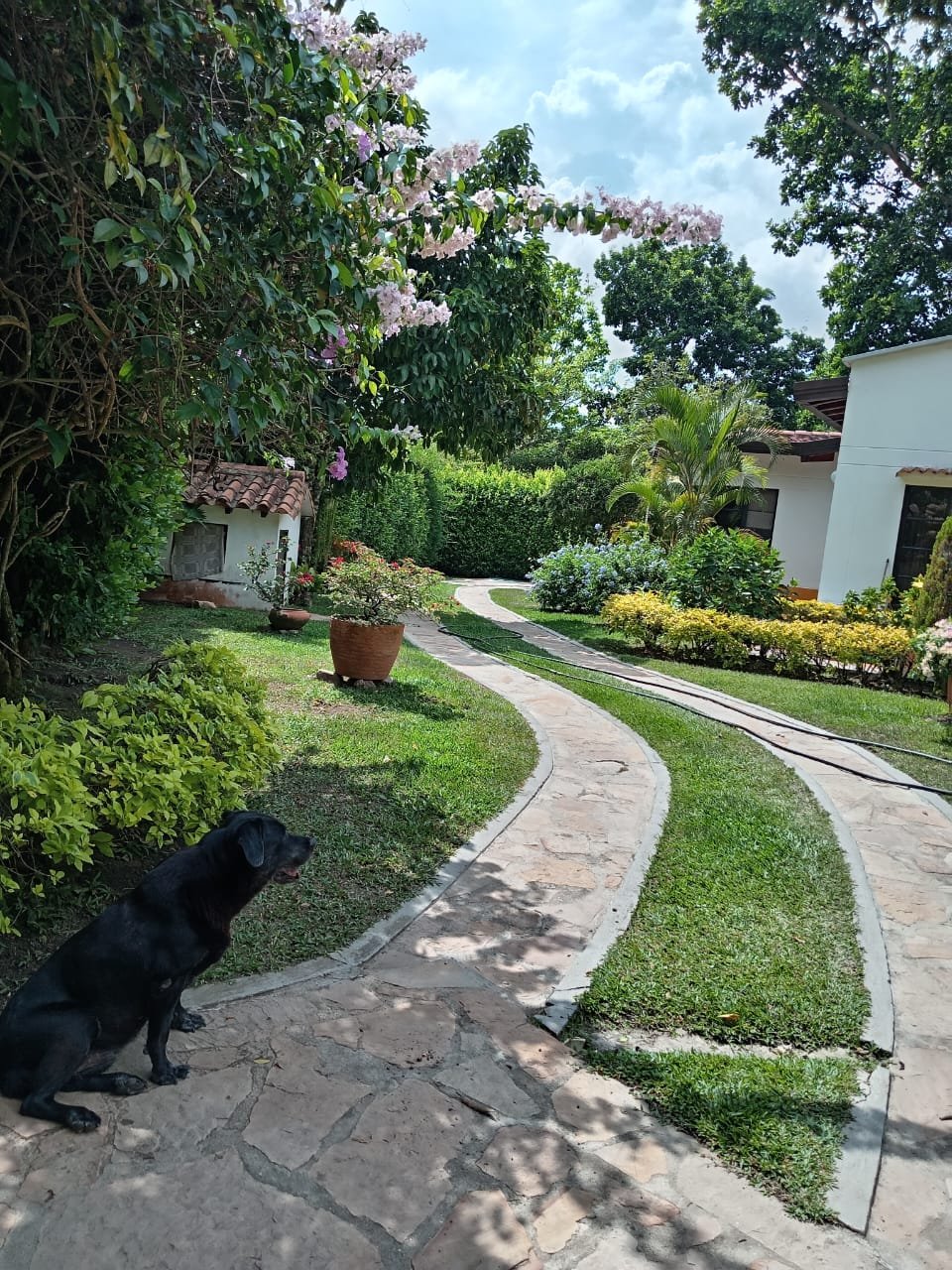 214465-271286-1514872546800397 Parcela en Venta entre Floridablanca y Piedecuesta, Santander