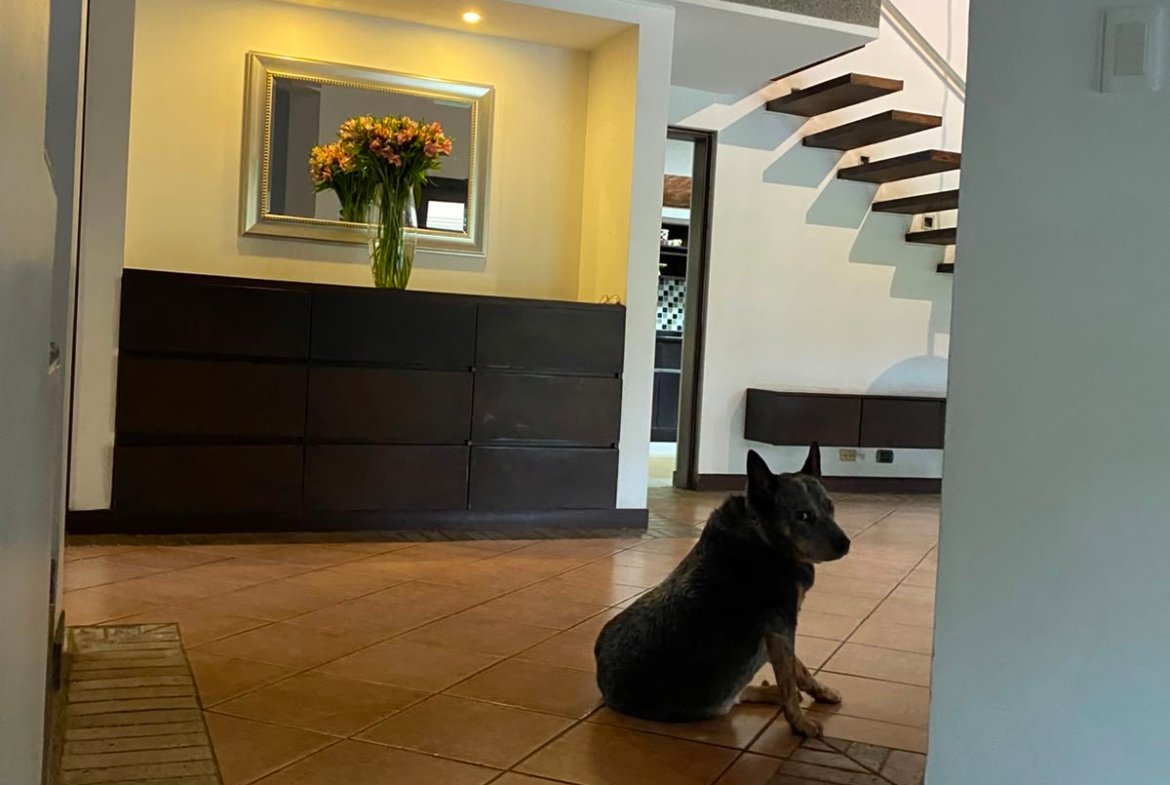 Casa campestre en venta en Villas del Campo, Pance Cali