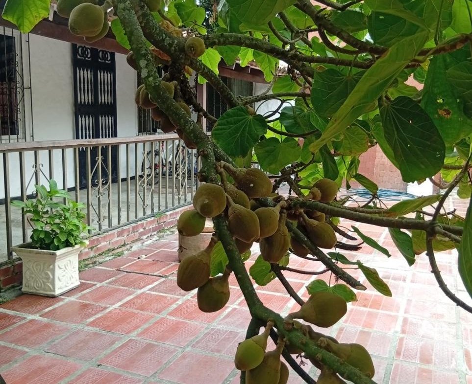 Casa Campestre en Alquiler en Rozo La Torre, Palmira, Valle del Cauca