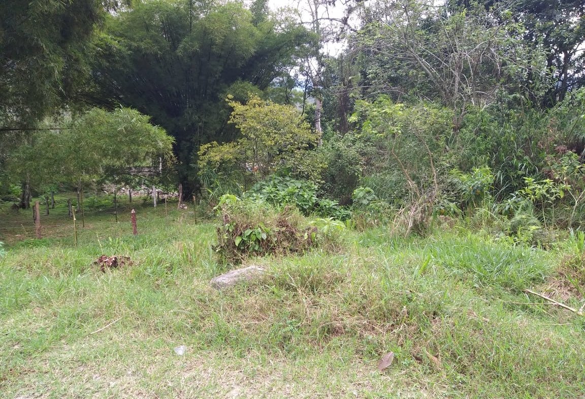 Lotes Urbanos en Venta en Bochalema, Norte de Santander