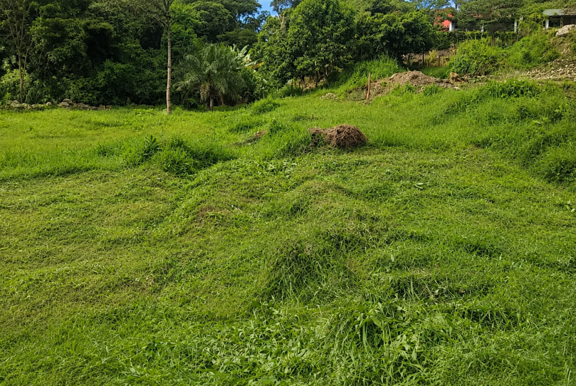 Lotes Urbanos en Venta en Bochalema, Norte de Santander