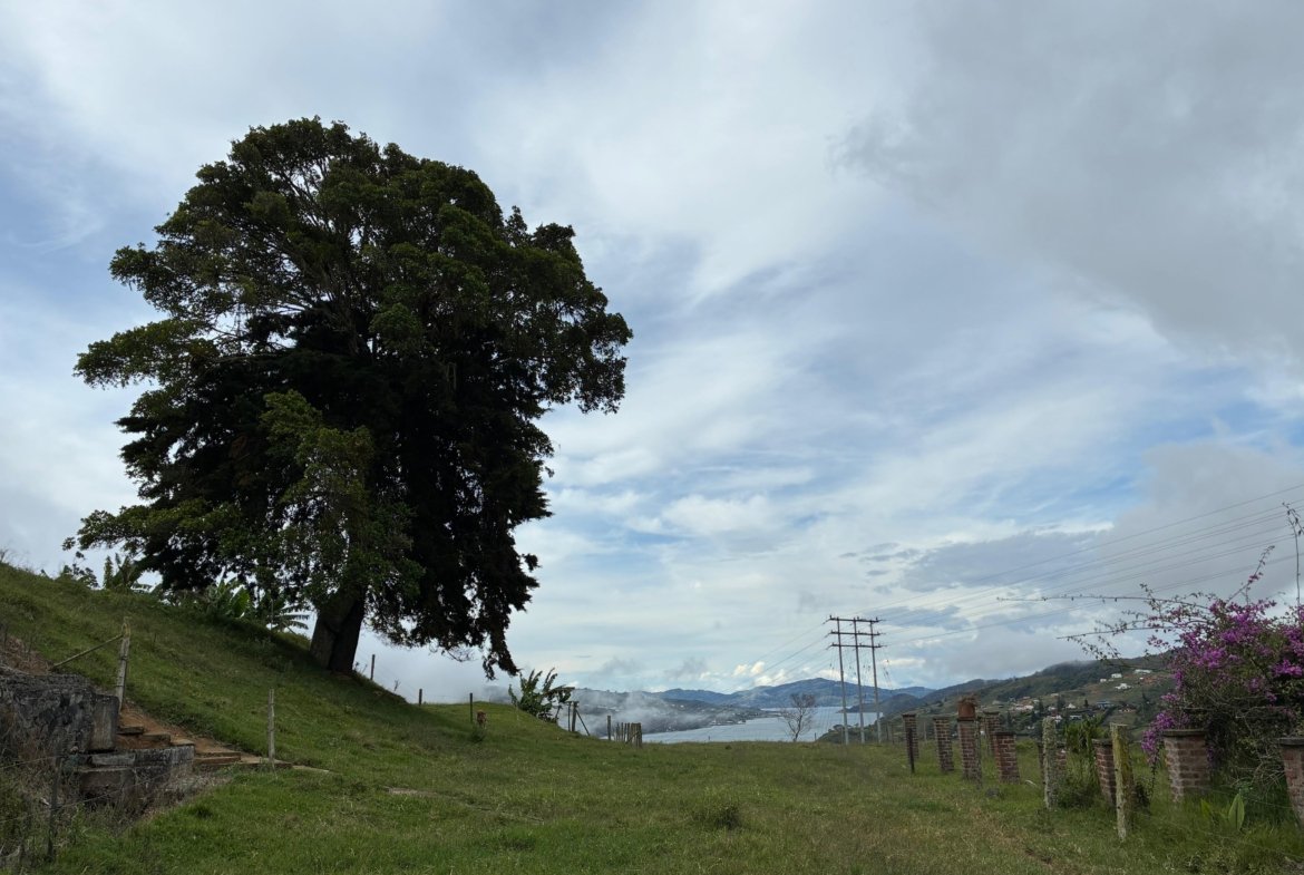 Arriendo Finca en Calima con vista al Lago