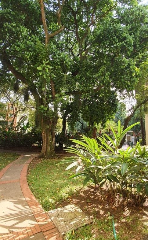 Vendo apartamento Sur de Cali Barrio Quintas de Don Simón