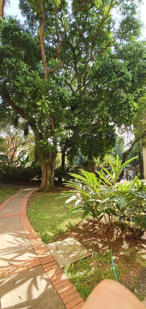 Vendo apartamento Sur de Cali Barrio Quintas de Don Simón