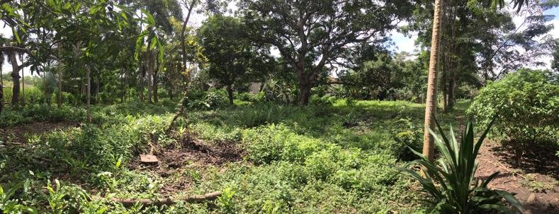 Venta de Terreno en Bayunca, Cartagena de Indias