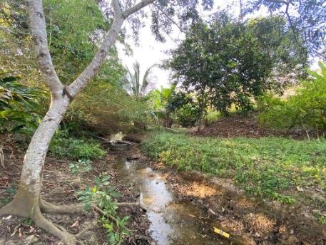 Venta de Terreno en Bayunca, Cartagena de Indias