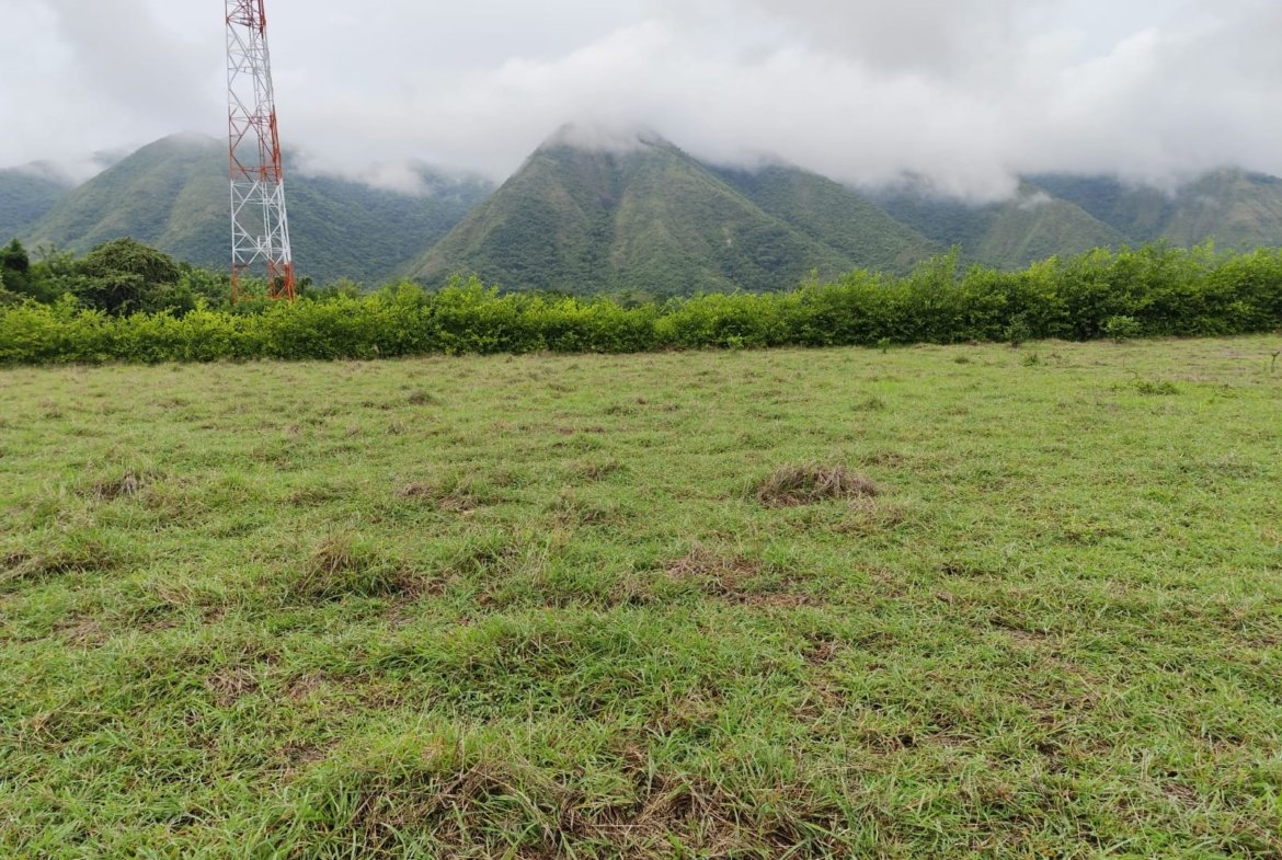 LOTE UNA HECTAREA GIRARDOT