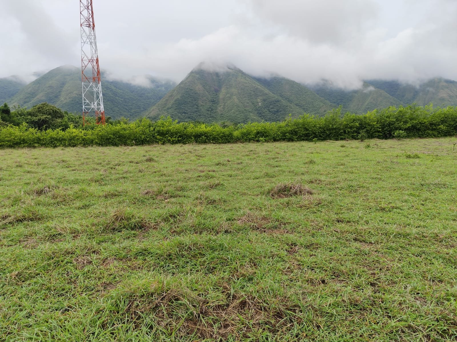 LOTE UNA HECTAREA GIRARDOT