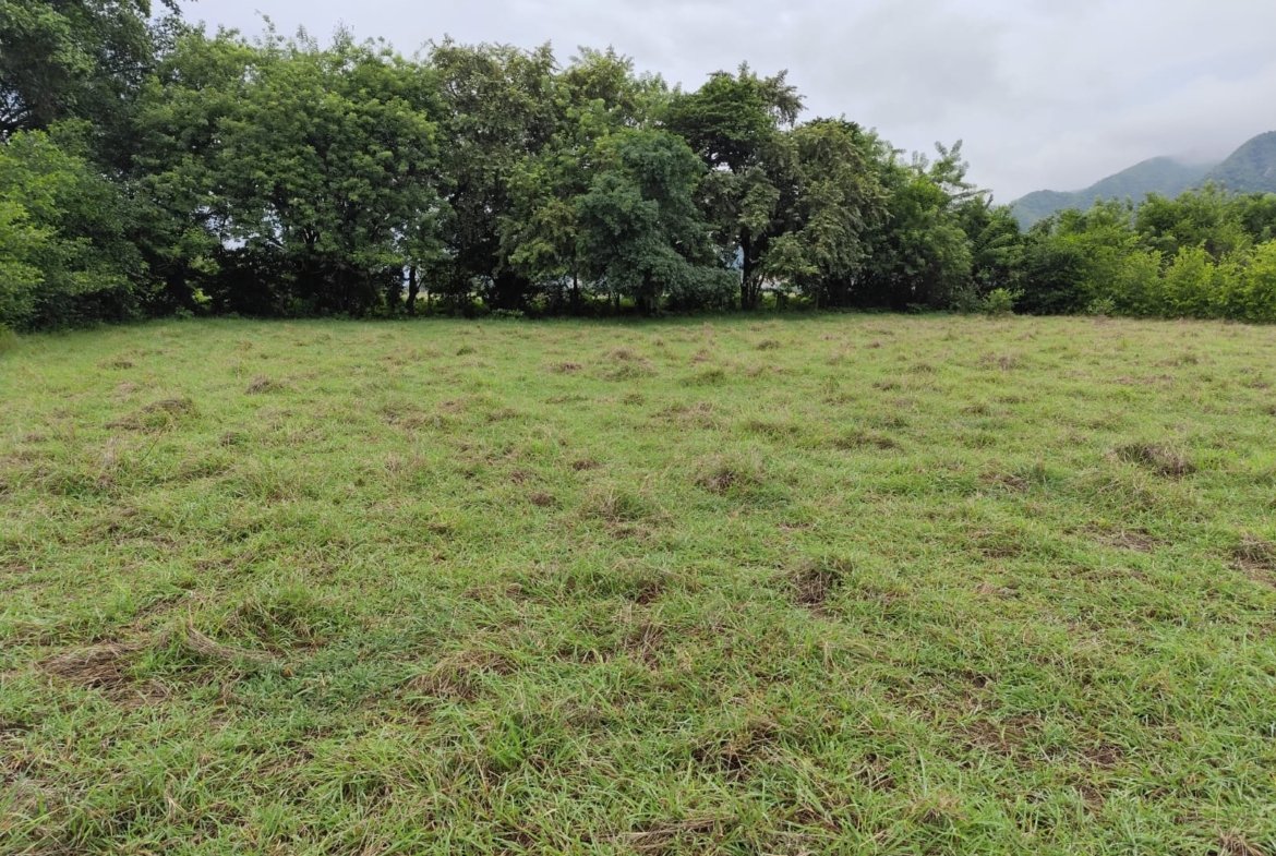 LOTE UNA HECTAREA GIRARDOT