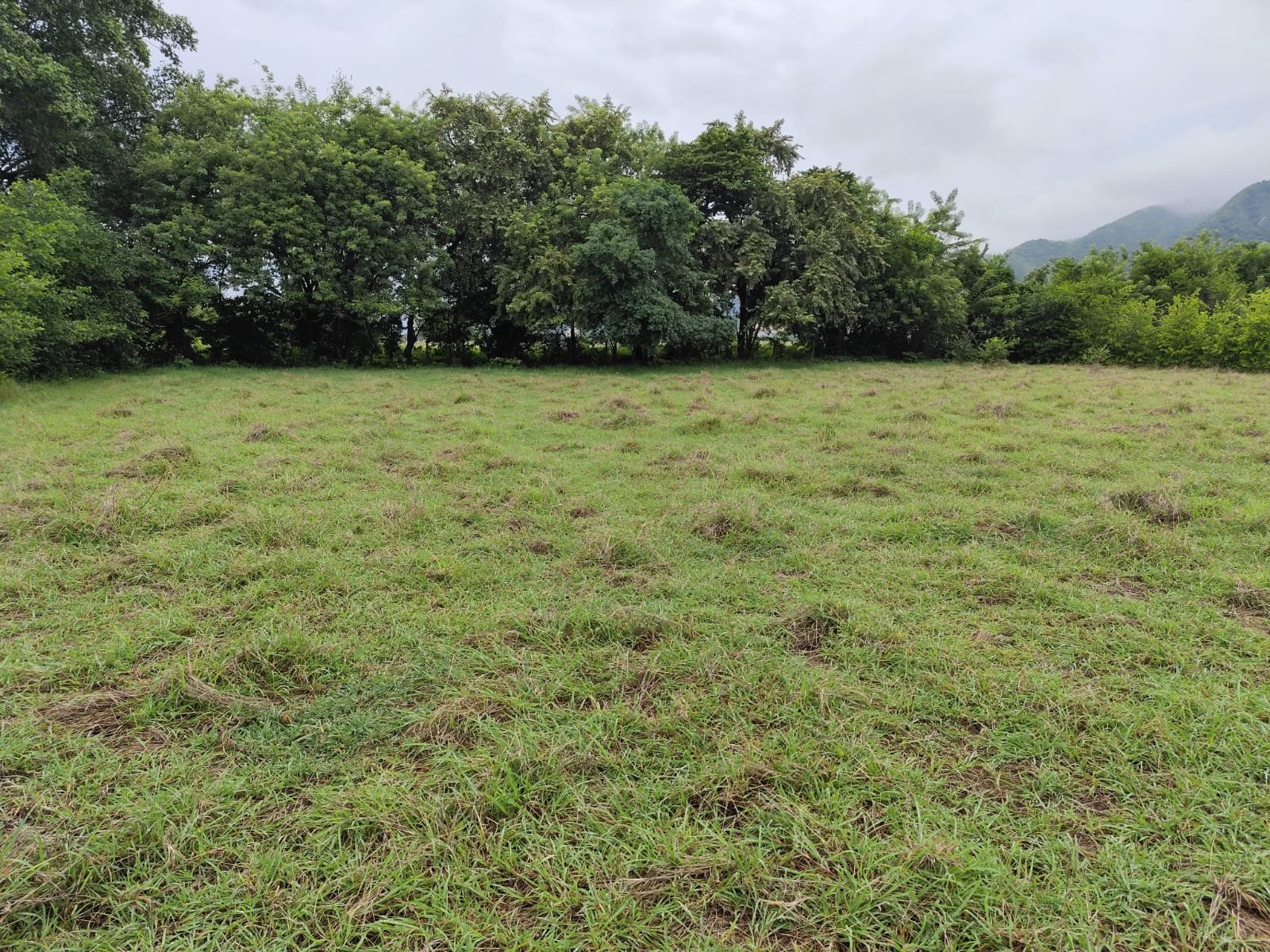 LOTE UNA HECTAREA GIRARDOT