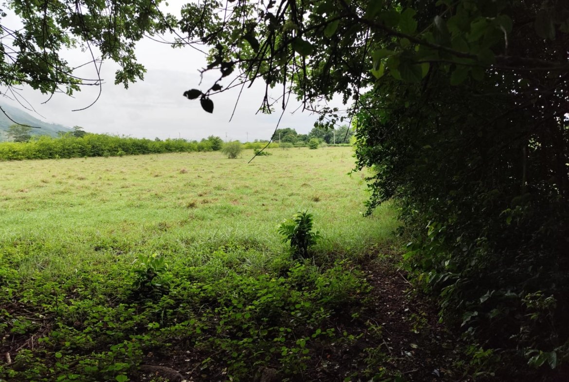 LOTE UNA HECTAREA GIRARDOT