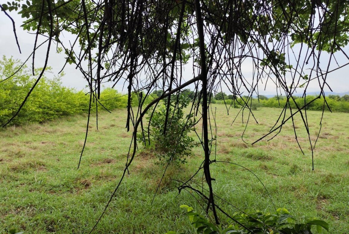 LOTE UNA HECTAREA GIRARDOT