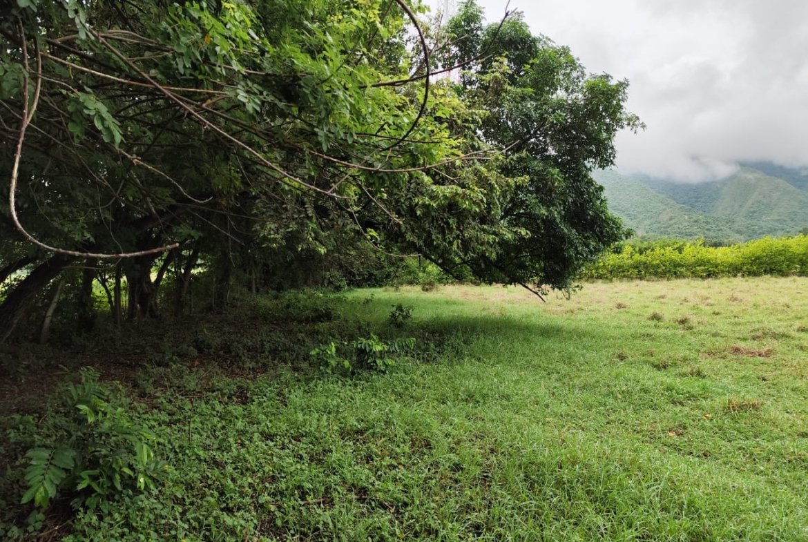 LOTE UNA HECTAREA GIRARDOT