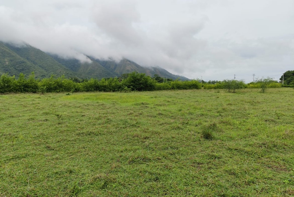 LOTE UNA HECTAREA GIRARDOT