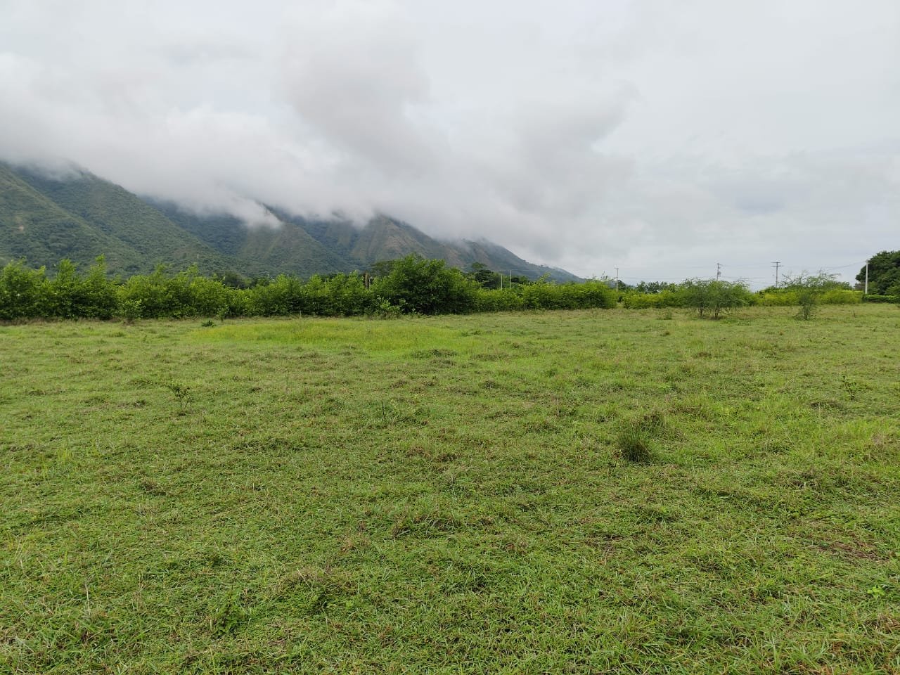 LOTE UNA HECTAREA GIRARDOT