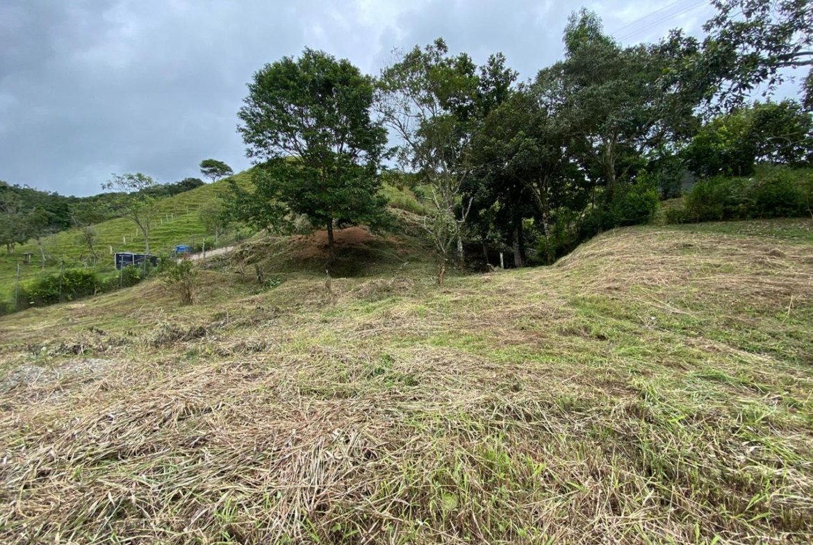 Parcela en venta Conjunto cerrado en Ibague Tolima