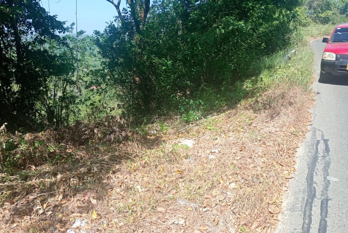 Venta de lotes y finca en Tubará, Atlántico