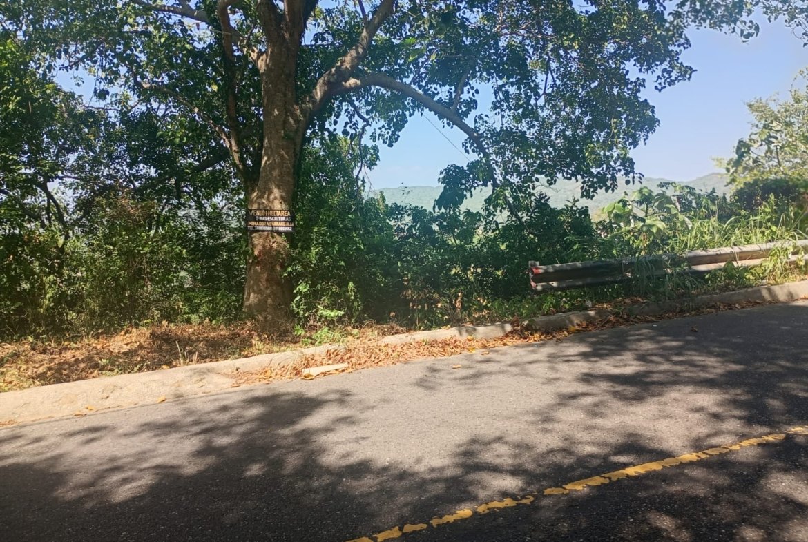 Venta de lotes y finca en Tubará, Atlántico