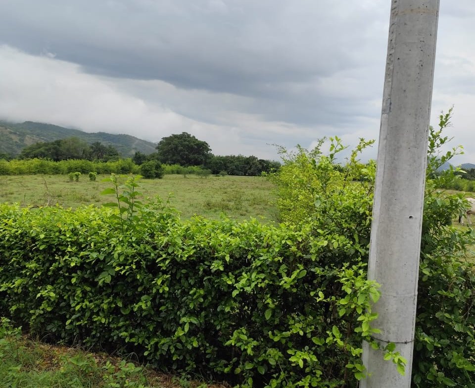 LOTE UNA HECTAREA GIRARDOT