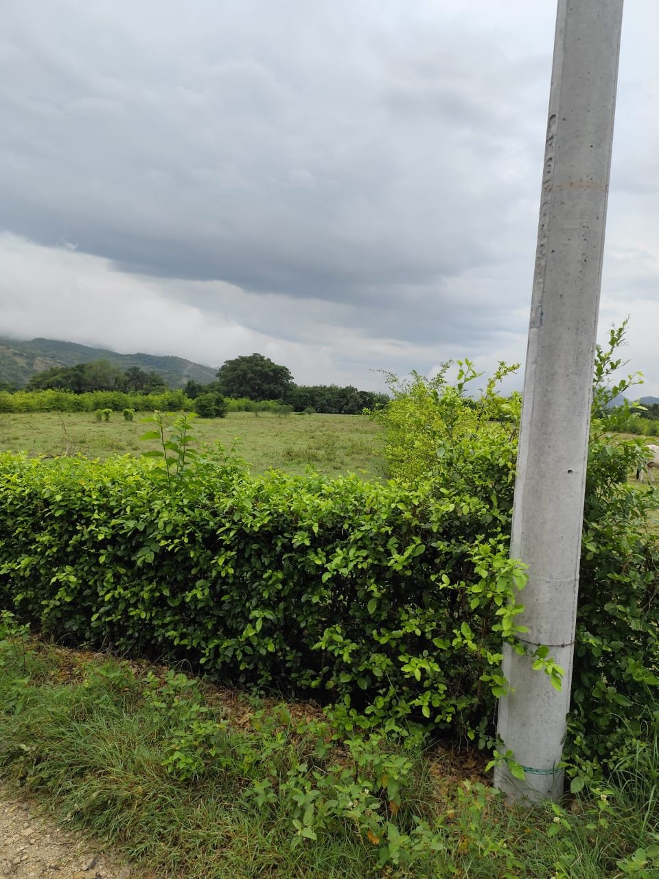 LOTE UNA HECTAREA GIRARDOT