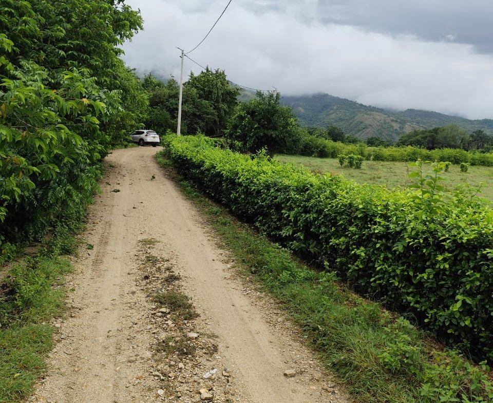 LOTE UNA HECTAREA GIRARDOT