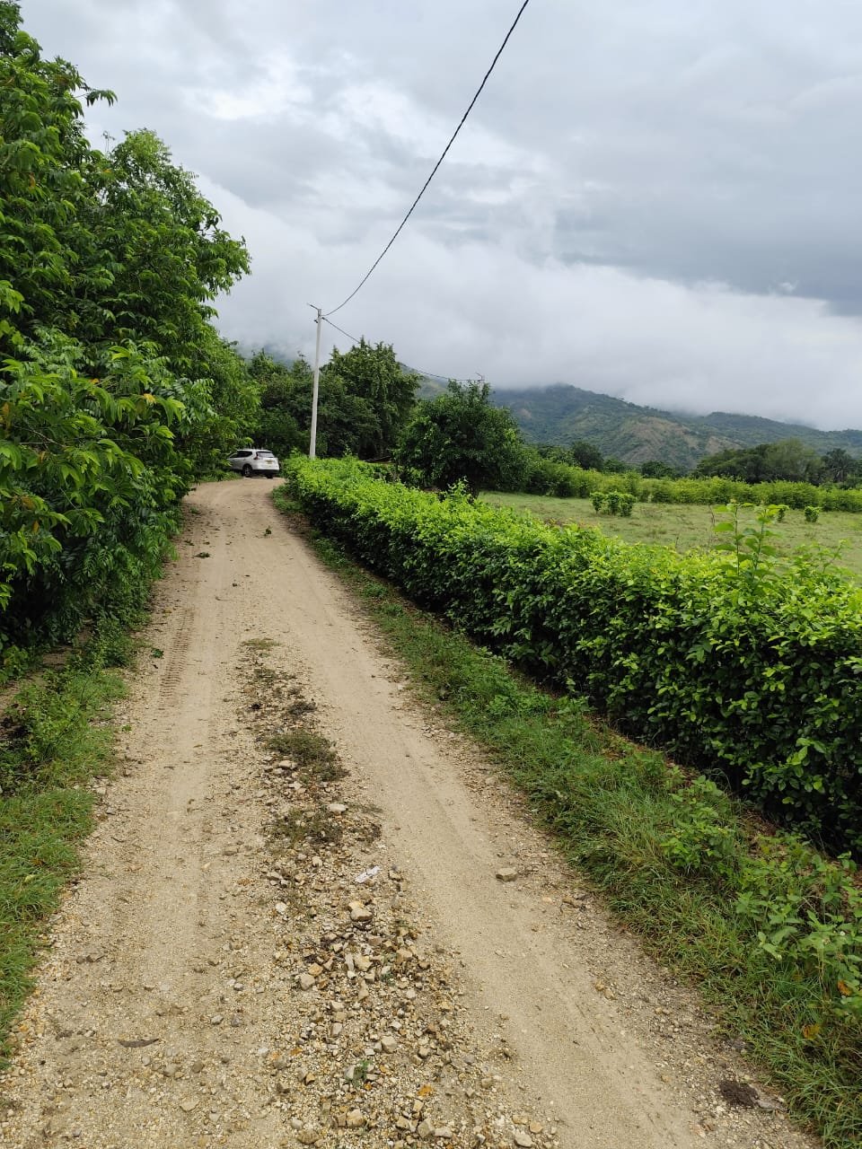 LOTE UNA HECTAREA GIRARDOT