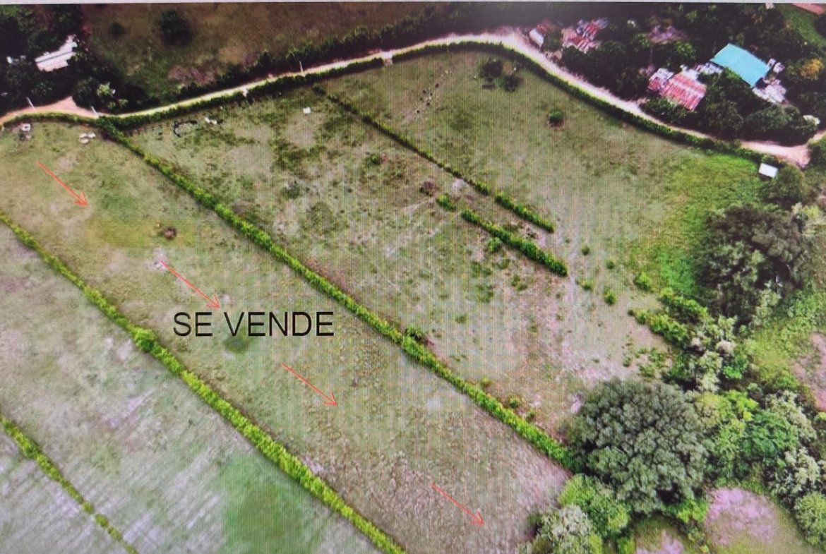 LOTE UNA HECTAREA GIRARDOT
