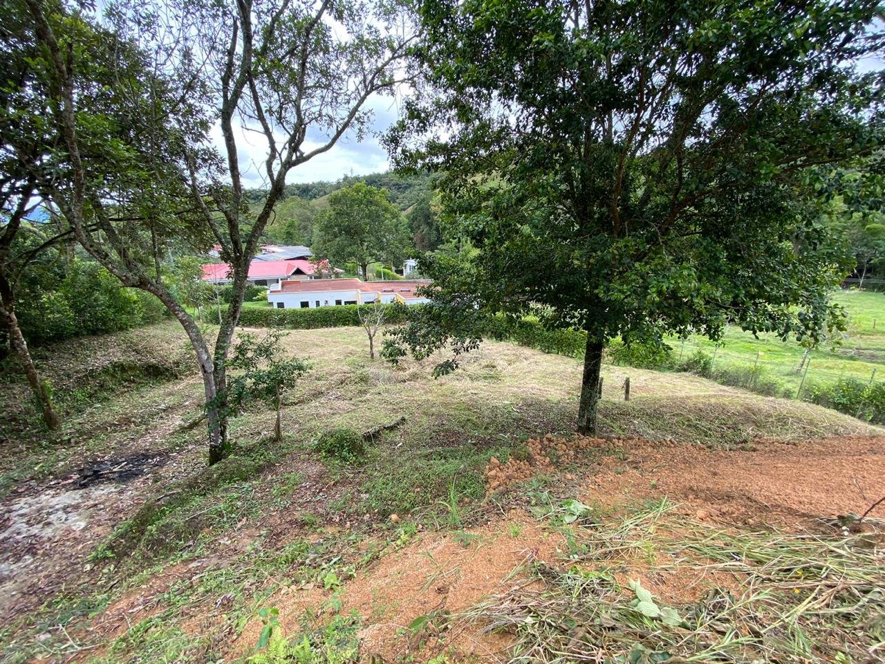Parcela en venta Conjunto cerrado en Ibague Tolima