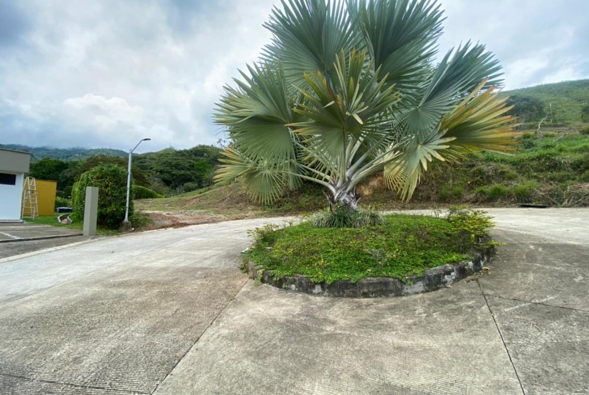 Parcela en venta Conjunto cerrado en Ibague Tolima