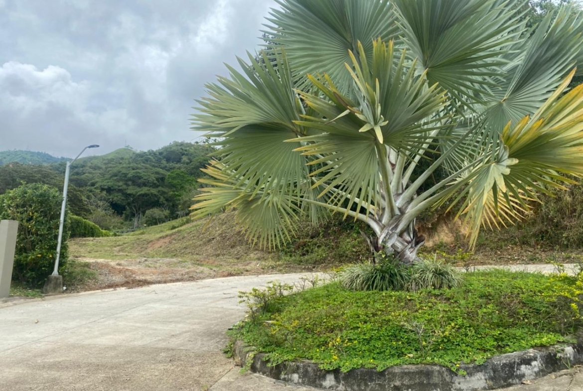 Parcela en venta Conjunto cerrado en Ibague Tolima