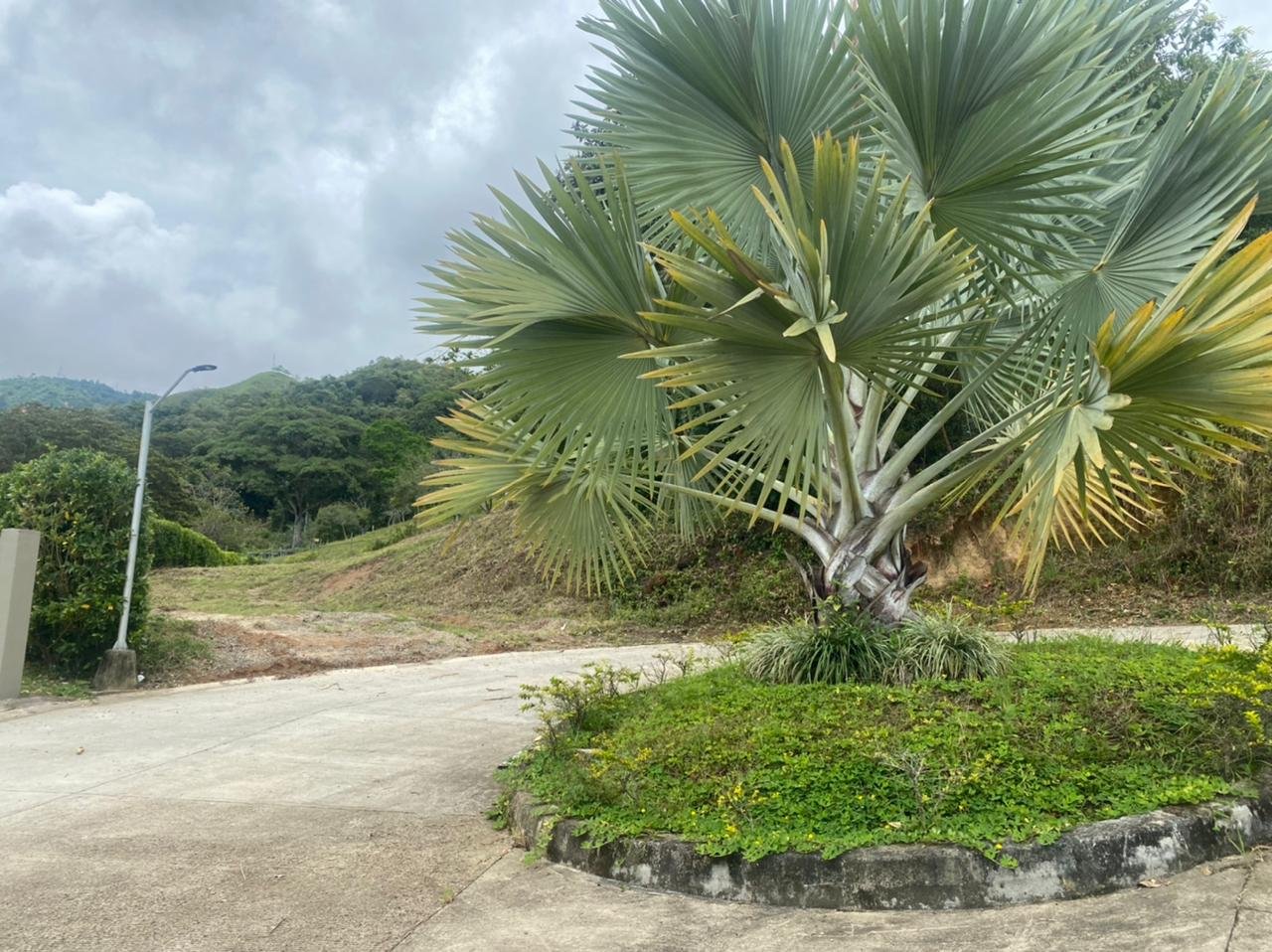 Parcela en venta Conjunto cerrado en Ibague Tolima