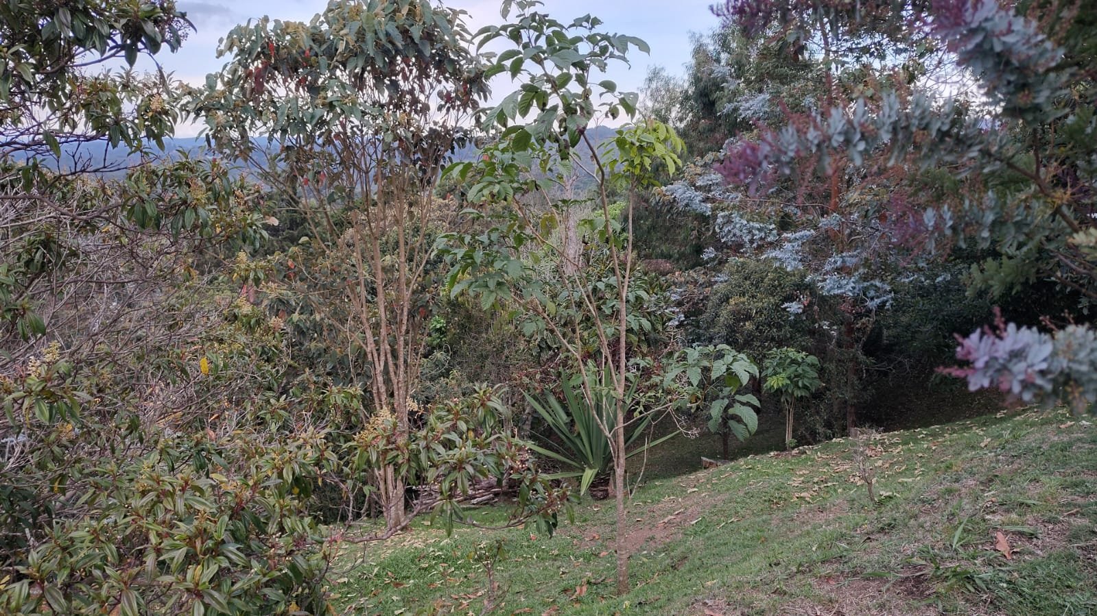 e4318bc4-1dbf-4f75-a615-fff9b2b7c846 CASA FINCA EN VENTA – SANTA ELENA, MEDELLÍN