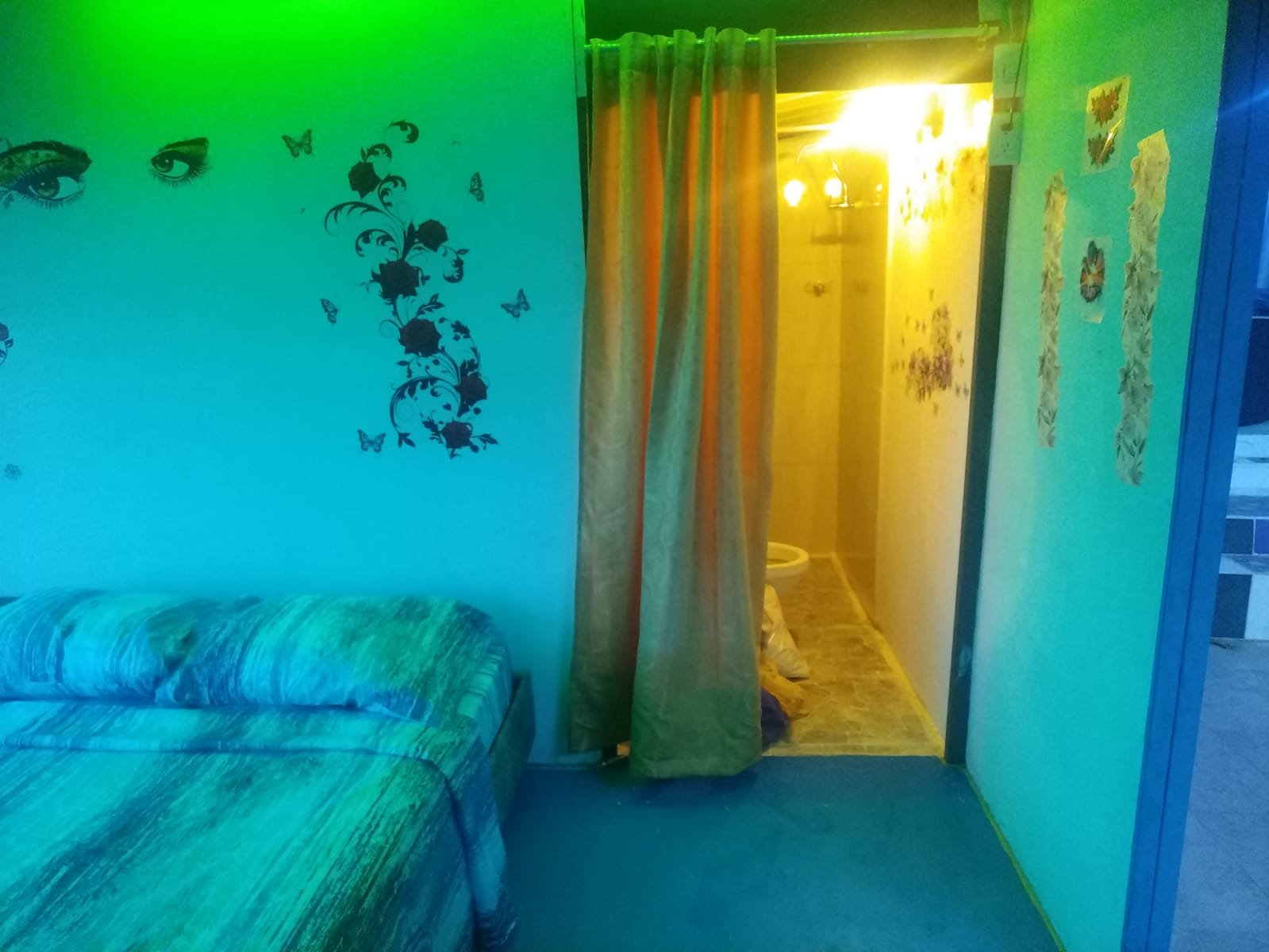 214465-271286-1933406980950157 Glamping cerca de la ciudad km5 via Cristo Rey, rodeado de naturaleza