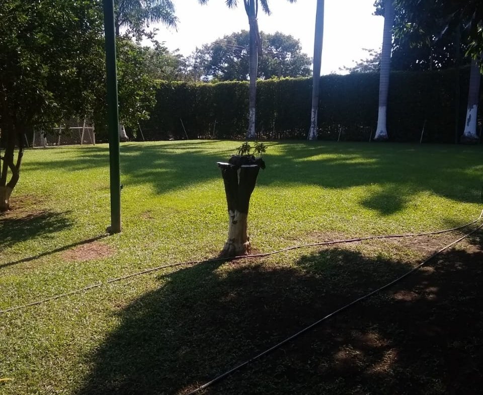 Venta de parcela en Santa Fe de Antioquia