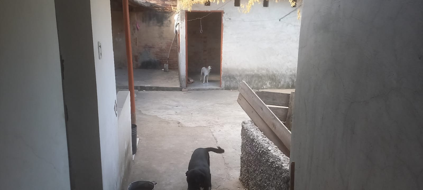 314202-454753-1103956898721068 Casa en venta en el barrio Sevilla Cucuta