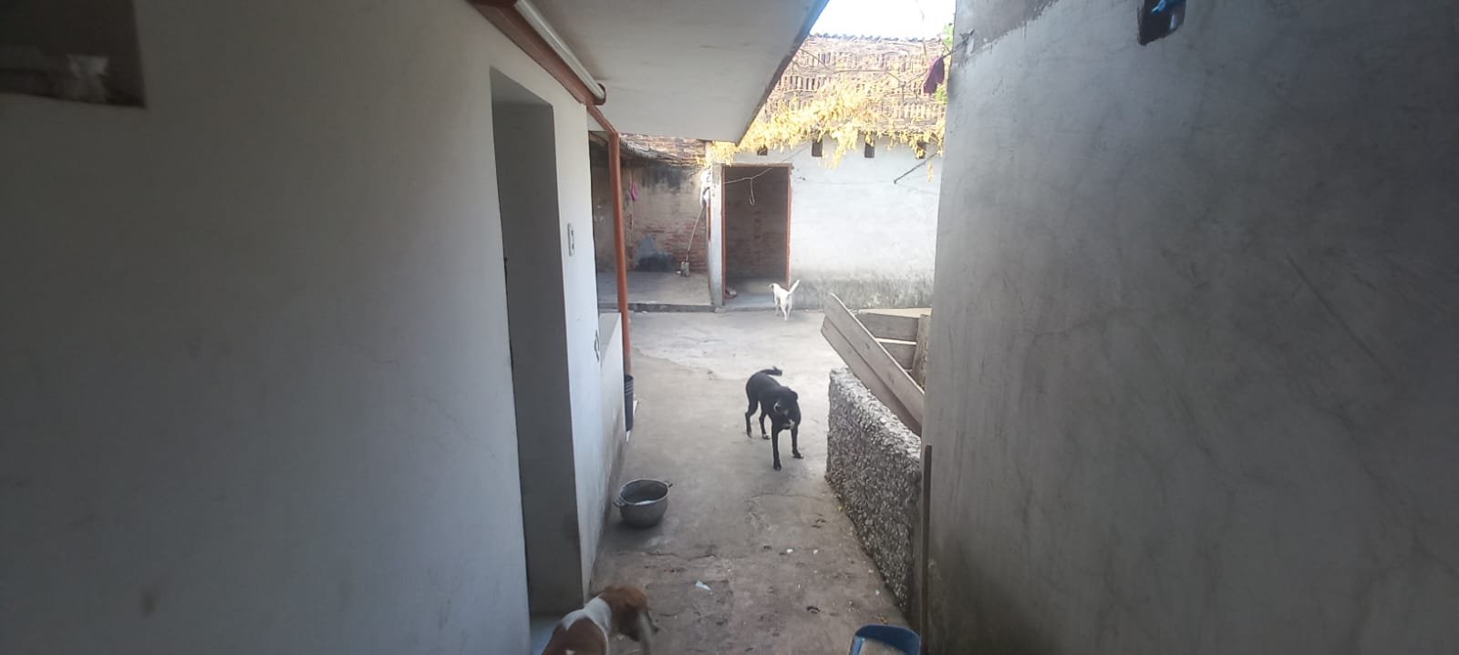 314202-454753-1644304243929527 Casa en venta en el barrio Sevilla Cucuta