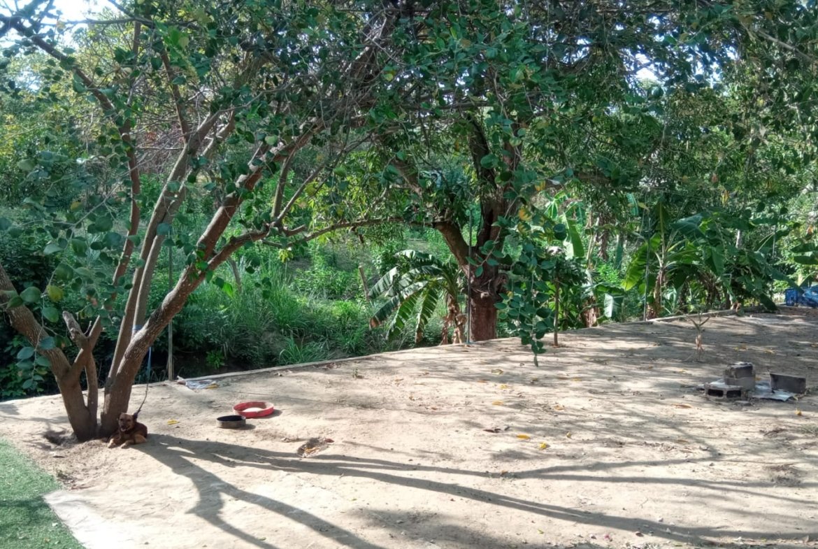 SE VENDE FINCA DE 30.000 M² EN BARANOA, ATLÁNTICO