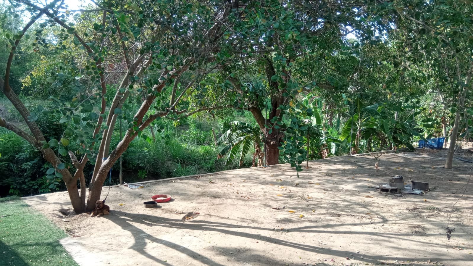 5e4610d3-82c5-46d7-b3f6-425c99b5be78 SE VENDE FINCA DE 30.000 M² EN BARANOA, ATLÁNTICO