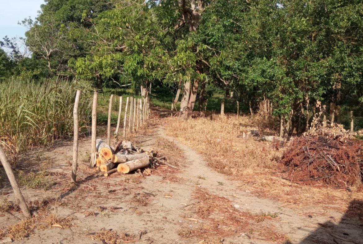 SE VENDE FINCA DE 30.000 M² EN BARANOA, ATLÁNTICO