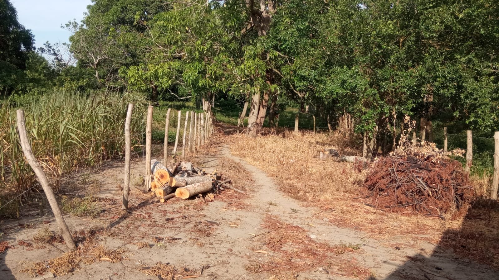 7ef836fb-a977-42ea-a775-6cd8a714b6d9 SE VENDE FINCA DE 30.000 M² EN BARANOA, ATLÁNTICO